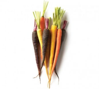 AUS MIX COLOR DUTCH CARROTS – 250G