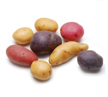 AUD MIX COLOR POTATO – 800G