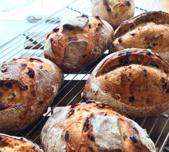 BP RYE FRUIT VILLAGE SOURDOUGH