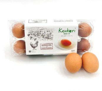 KENKORI EGG – 10