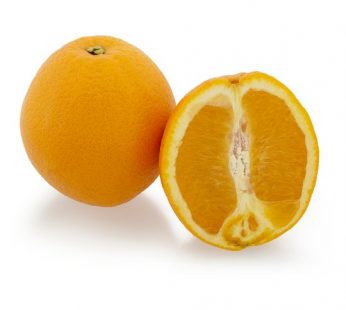 NAVEL ORANGE XL – 6 PCS