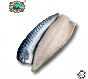 FROZEN MACKEREL FILLET – 350GM