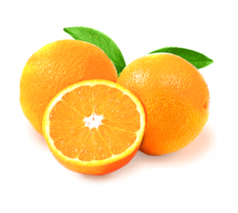 EGYPT NAVEL ORANGE