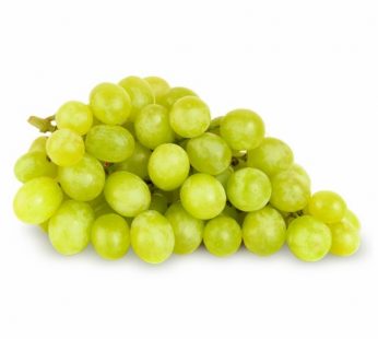 GREEN GRAPE SA SWEET GLOBE