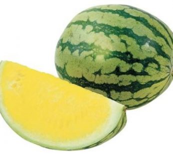 YELLOW WATERMELON