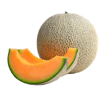 JAPAN HONEY MELON