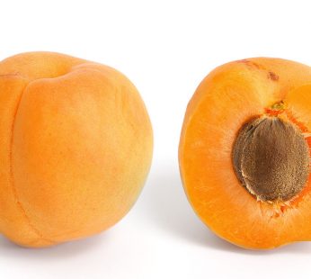 APRICOT