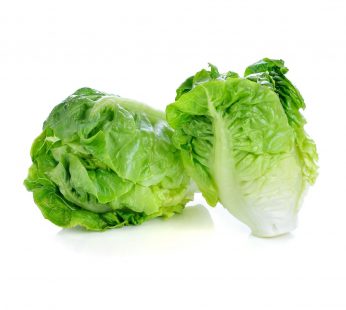 ZX ORGANIC LETTUCE (MINI COS)-MSA, 250G