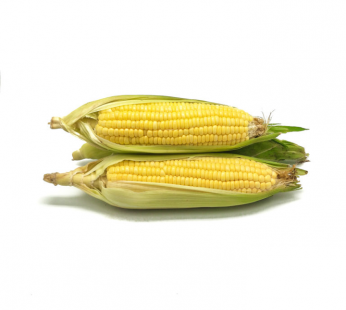 ZX SWEET CORN