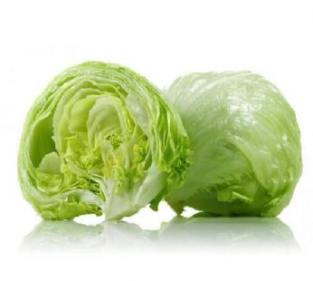 ZX LETTUCE (ICEBERG/HEAD) – MSA