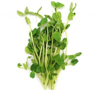 ZX ORGANIC PEA SPROUT – 100GM