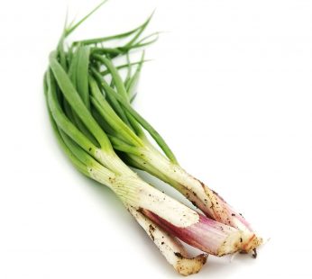 ZX ORGANIC SPRING ONION