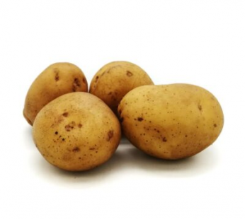 ZX ORGANIC POTATO – THAILAND