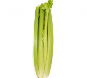 ZX ORGANIC CELERY – THAILAND