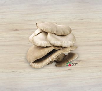 AG ORGANIC PEARL MUSHROOM