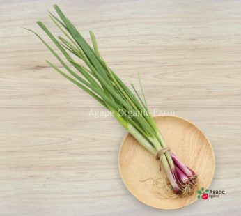 AG ORGANIC SPRING ONION