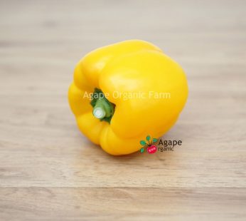 AG ORGANIC CAPSICUM (YELLOW)