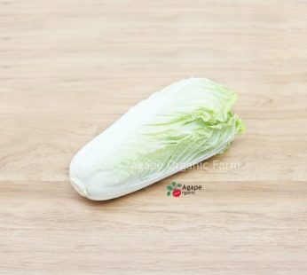 AG ORGANIC CHINESE CABBAGE (SHORT)