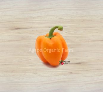 AG ORGANIC CAPSICUM ORANGE