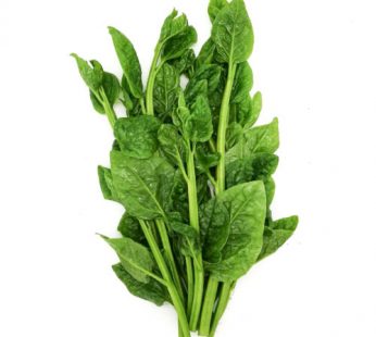 ZX NEW ZEALAND SPINACH