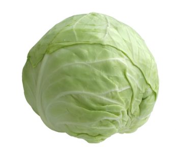 ROUND CABBAGE