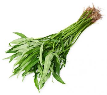 KANGKUNG