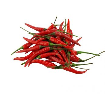 RED CHILLI PADI