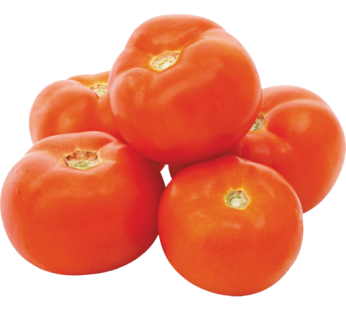 TOMATO