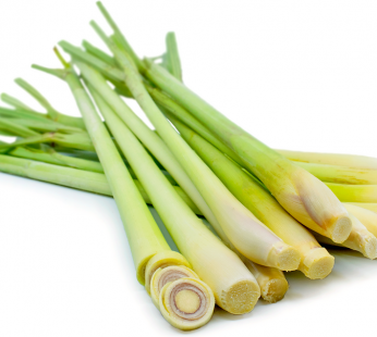 LEMON GRASS