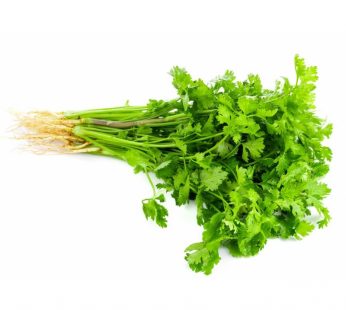 CORIANDER