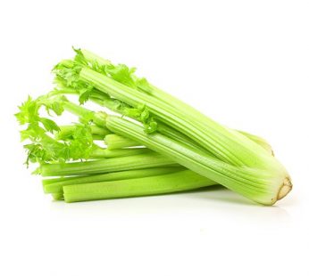 CELERY