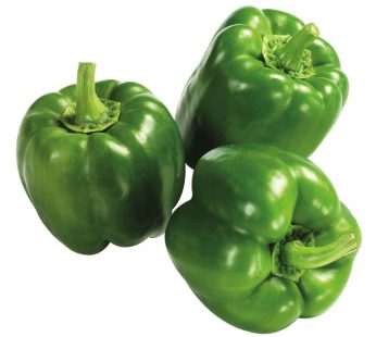 GREEN CAPSICUM