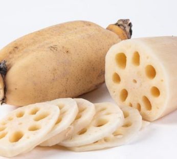 LOTUS ROOT