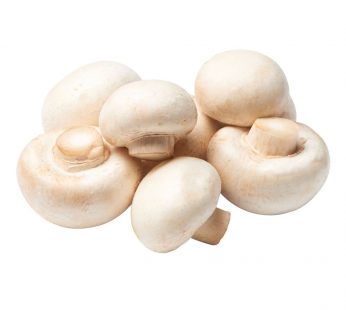 BUTTON MUSHROOM WHITE