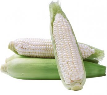 WHITE SWEET CORN