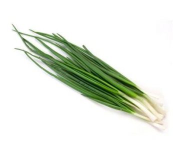 SPRING ONION