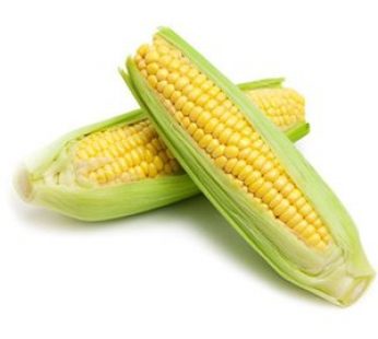 SWEET CORN MUTIARA