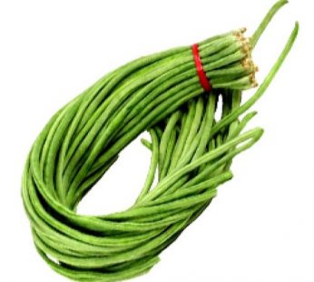 CF BIO-DYNAMIC LONG BEAN