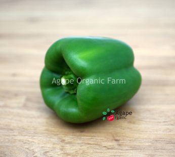 AG ORGANIC CAPSICUM (GREEN)